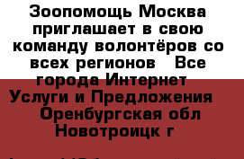 Зоопомощь.Москва приглашает в свою команду волонтёров со всех регионов - Все города Интернет » Услуги и Предложения   . Оренбургская обл.,Новотроицк г.